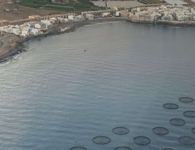 Vista aérea de las jaulas marinas instaladas en la costa de Telde / TA